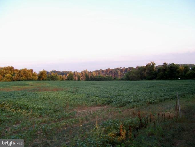 Crumpton Road Millington, MD 21651 - Photo 3 of 22 10 acres of privacy to enjoy nature