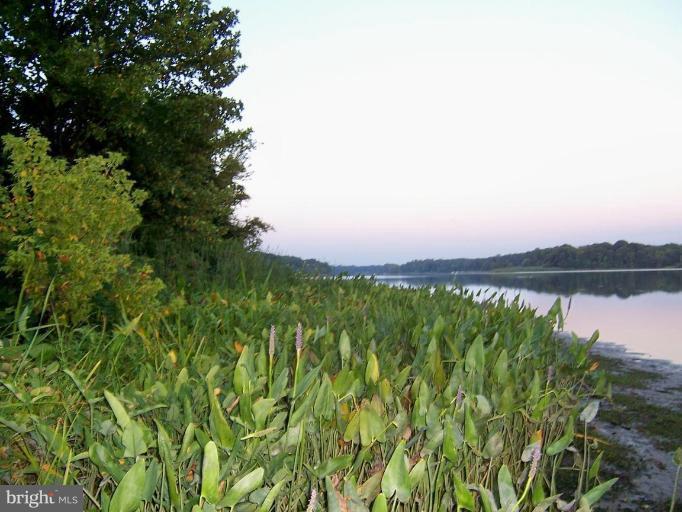 Crumpton Road Millington, MD 21651 - Photo 8 of 22 Shoreline/Waterfrontage