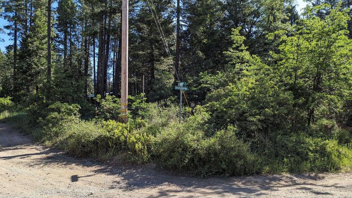 7693 Linda Road Shingletown, CA 96088 - Photo 11 of 11 20250630222149236221000000-o
