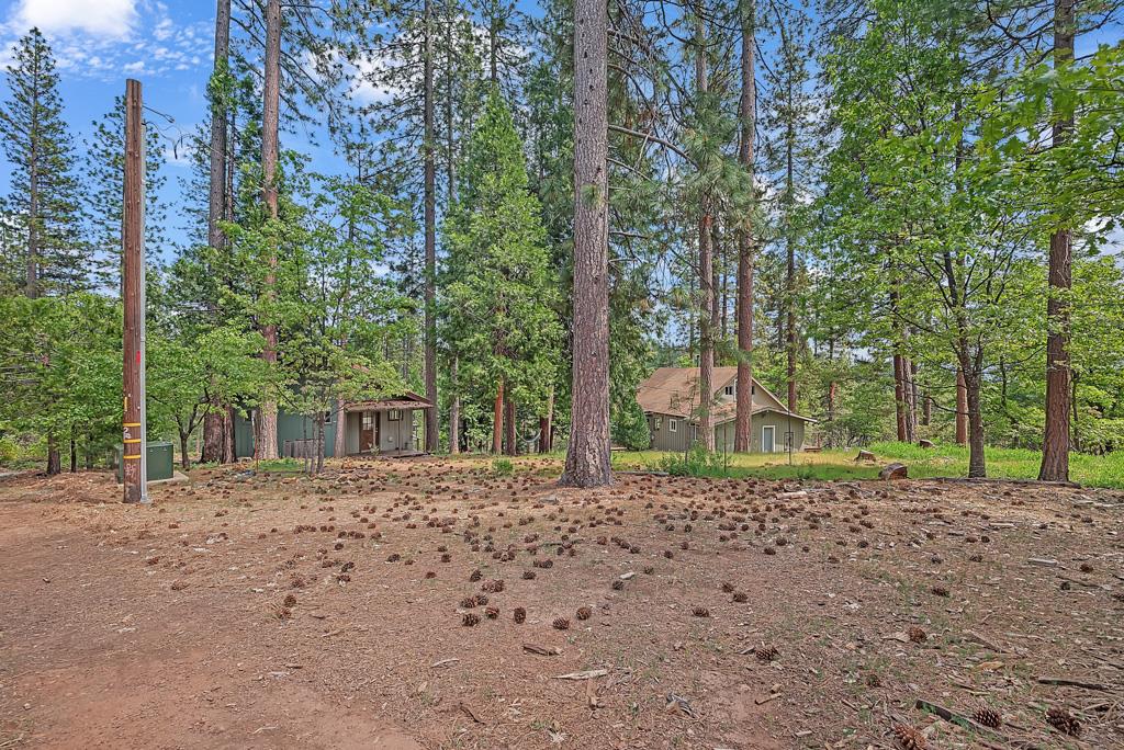 1753 Lightning Lane Arnold, CA 95223 - Photo 39 of 46 a house view with a backyard space