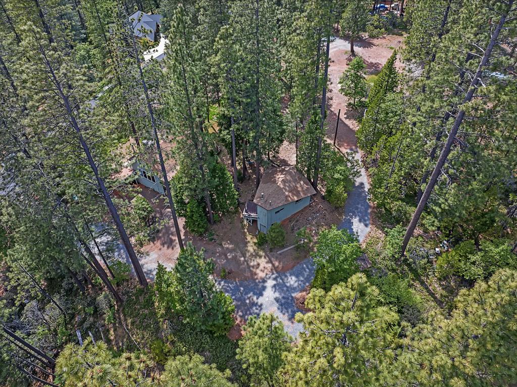 1753 Lightning Lane Arnold, CA 95223 - Photo 42 of 46 an aerial view of residential house with outdoor space and trees all around