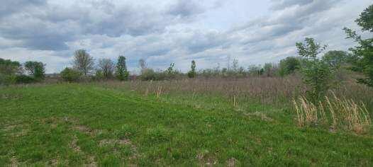 0 Federal Road Orient, OH 43146 - Photo 17 of 24 Resized_20260415_160629