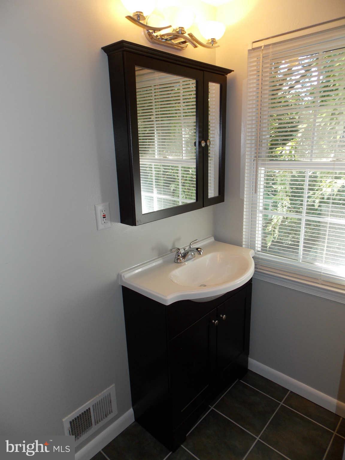 3920 Misty View Road Baltimore, MD 21220 - Photo 13 of 23 Bath