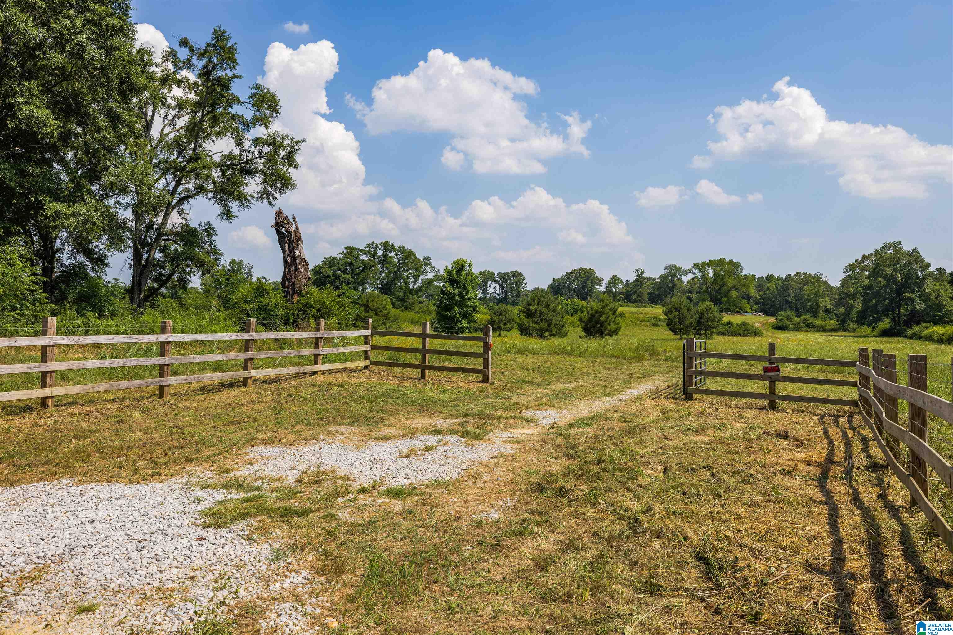 155 Highway Montevallo Al, Unit 1 Montevallo, AL 35115 - Photo 2 of 24