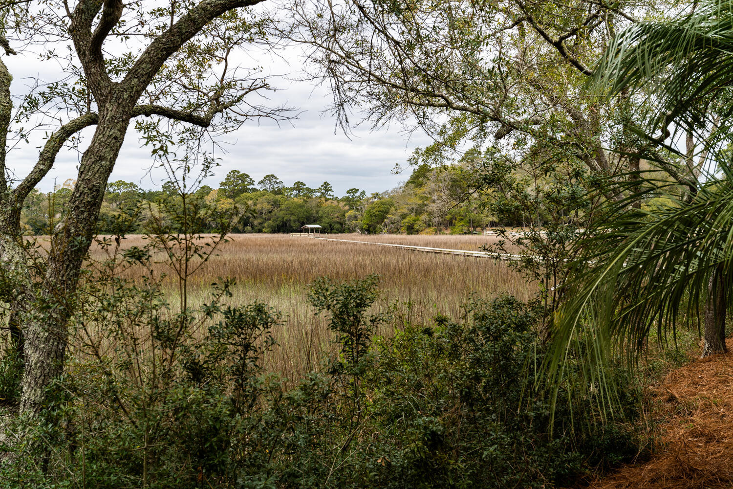 8532 Pope Landing Road Edisto Island, SC 29438 - Photo 27 of 54 8532 Pope Landing Rd