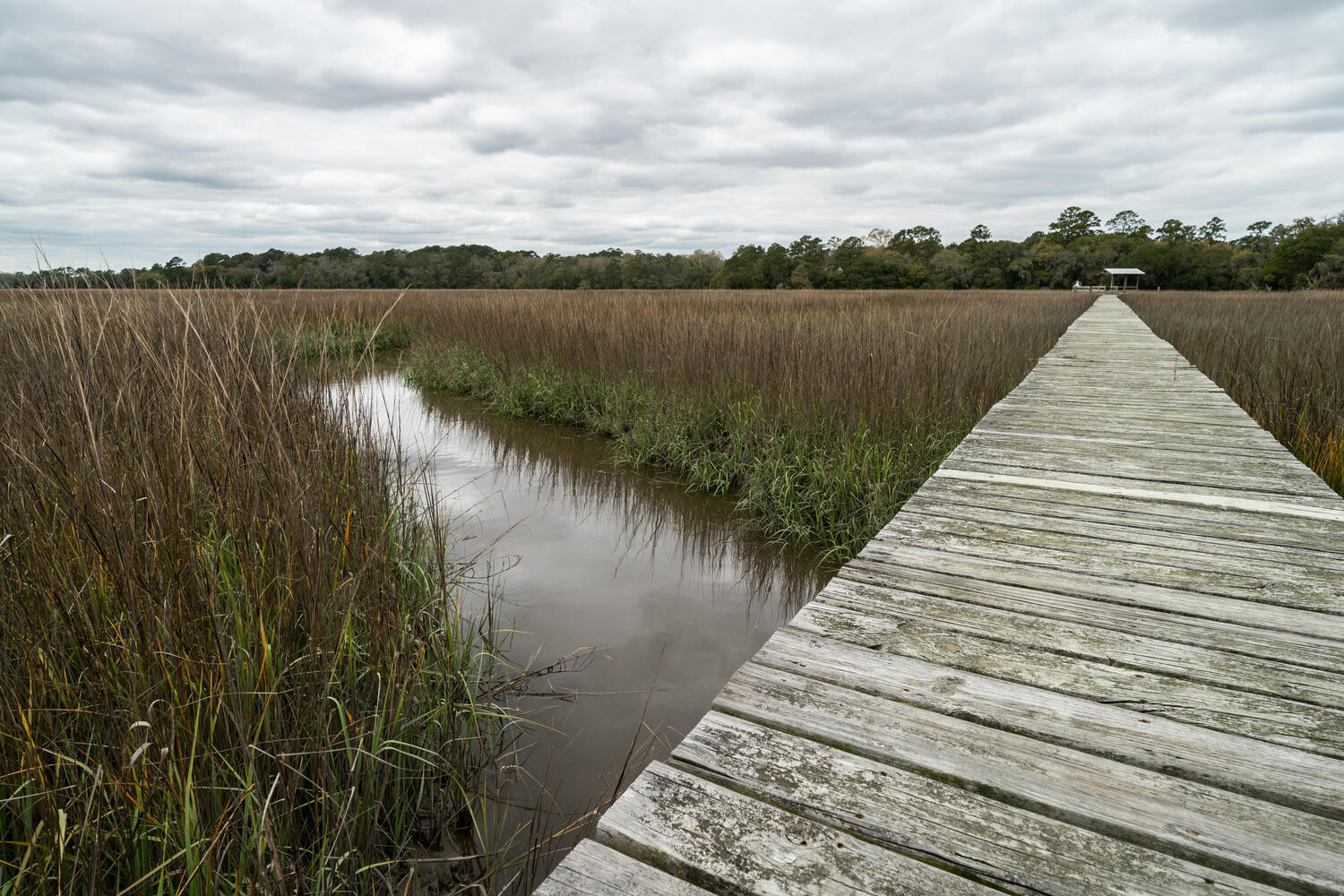 8532 Pope Landing Road Edisto Island, SC 29438 - Photo 30 of 54 8532 Pope Landing Rd