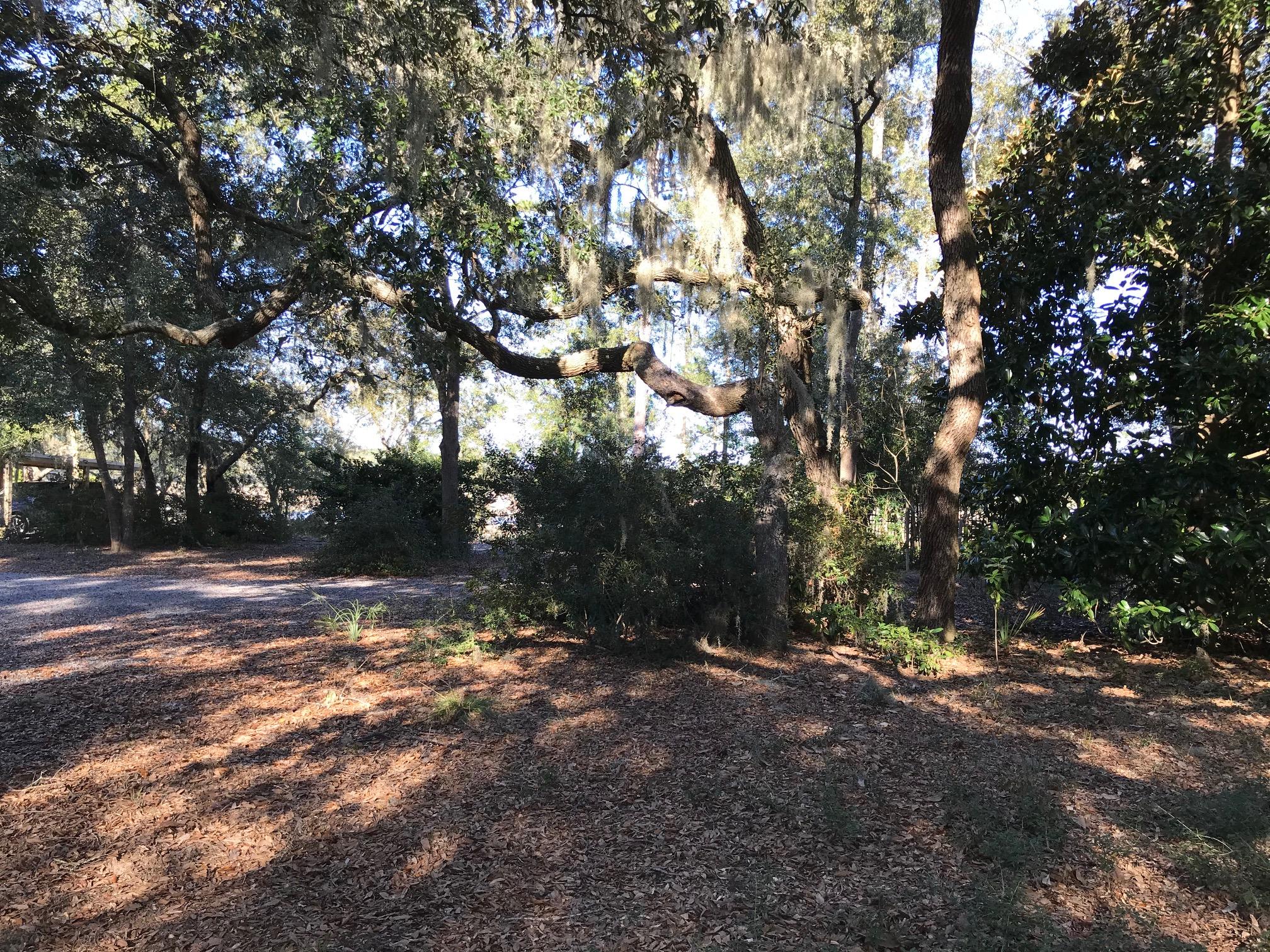 8532 Pope Landing Road Edisto Island, SC 29438 - Photo 38 of 54 8532