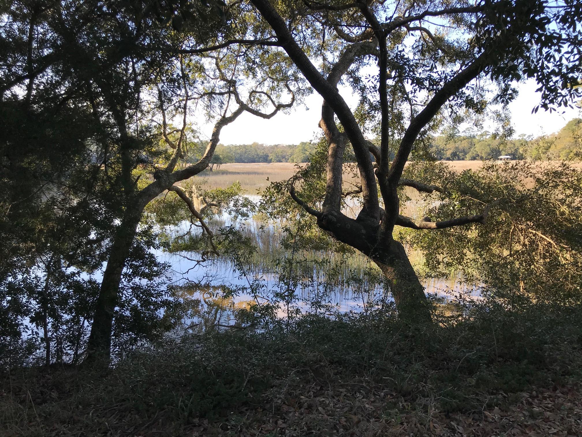 8532 Pope Landing Road Edisto Island, SC 29438 - Photo 40 of 54 8532