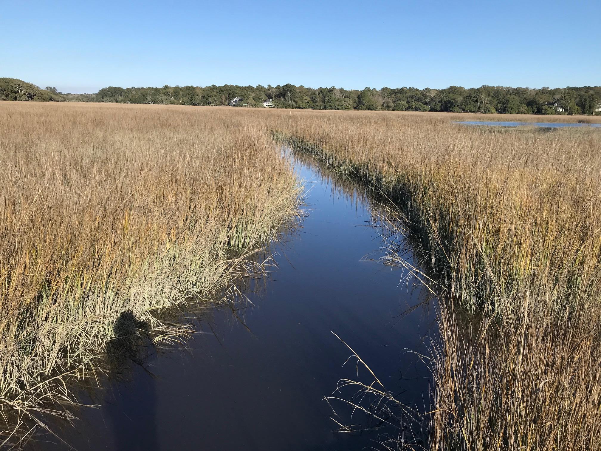 8532 Pope Landing Road Edisto Island, SC 29438 - Photo 42 of 54 8532