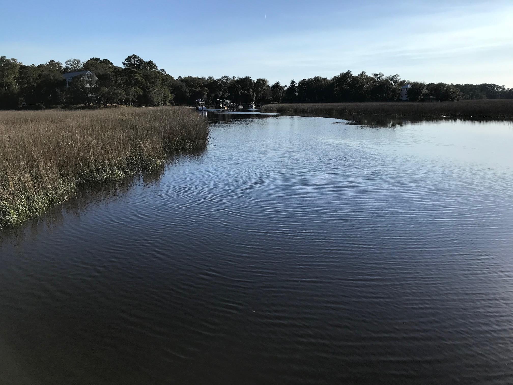 8532 Pope Landing Road Edisto Island, SC 29438 - Photo 44 of 54 8532