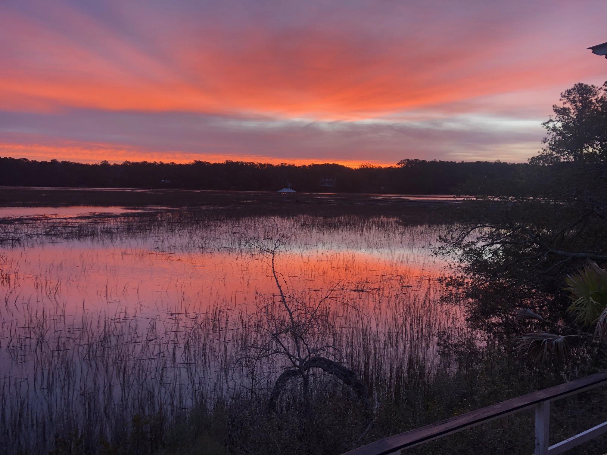 8532 Pope Landing Road Edisto Island, SC 29438 - Photo 50 of 54 8532