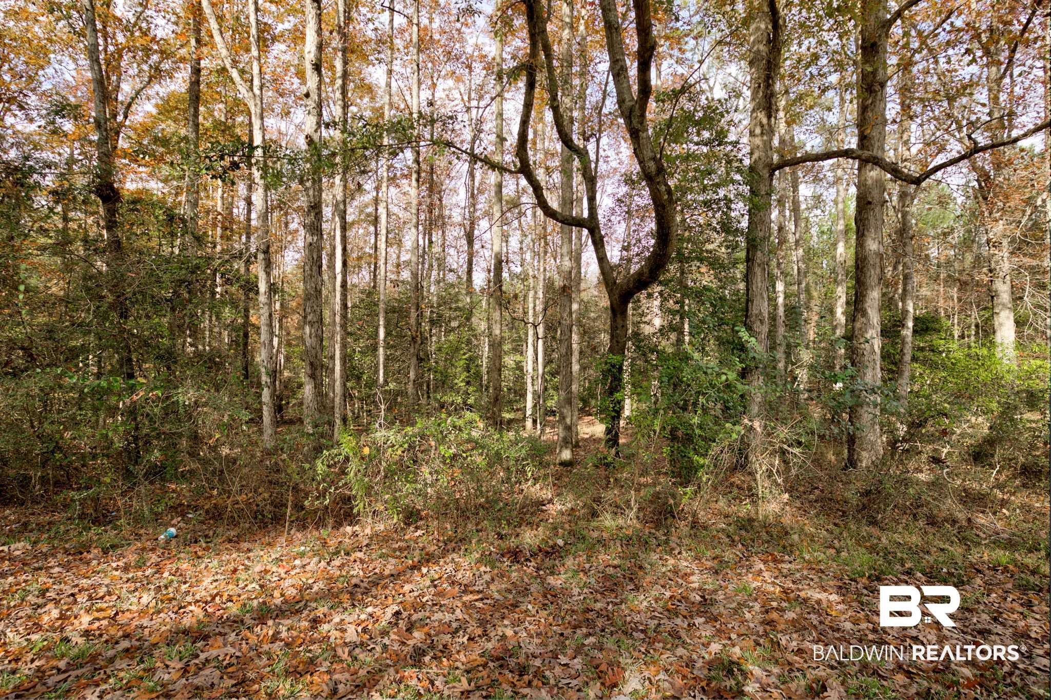 Old Greenville Road Evergreen, AL 36401 - Photo 11 of 16