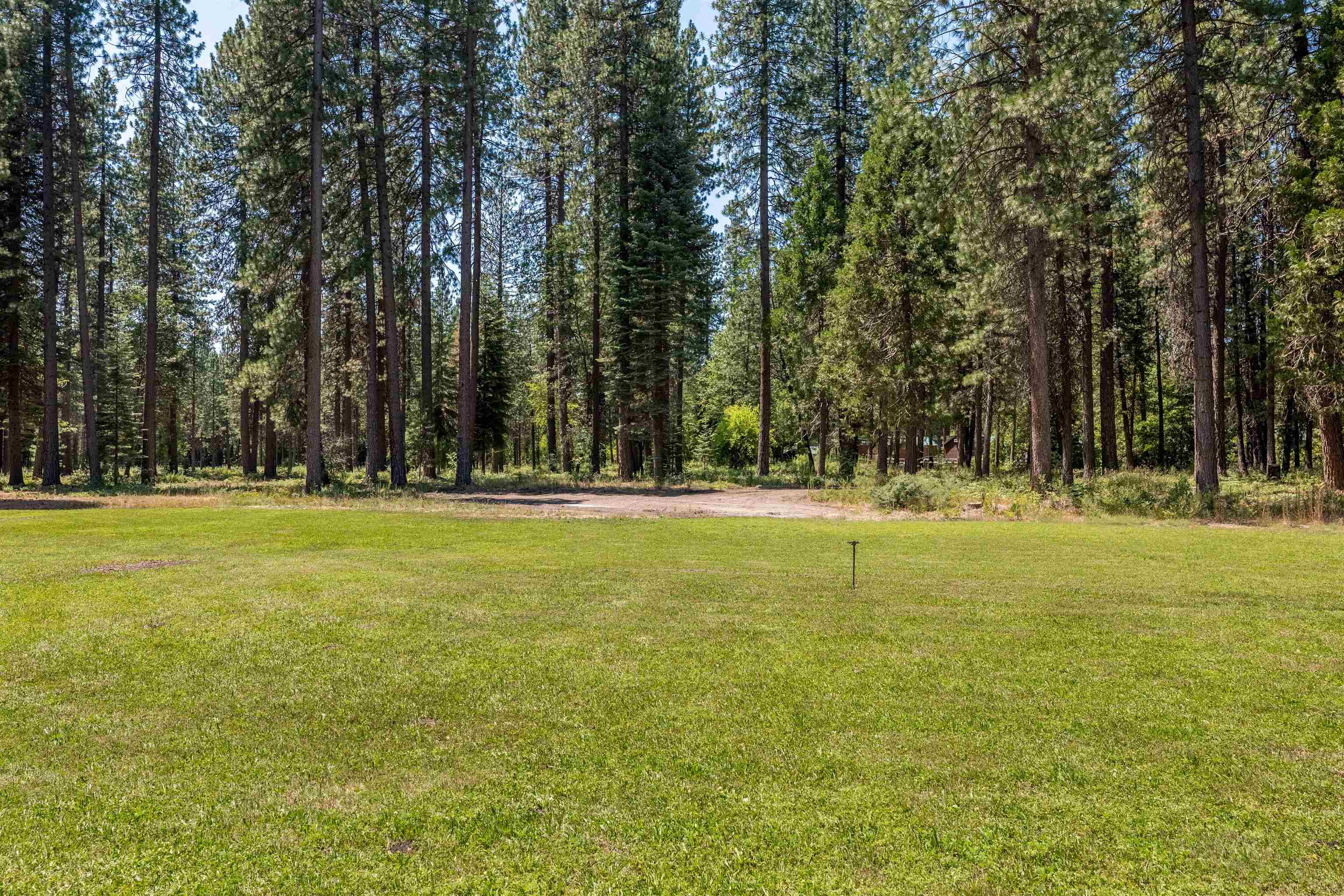 Lot B Red Cloud Rnch Road McCloud, CA 96057 - Photo 5 of 18 Gallery Image 5