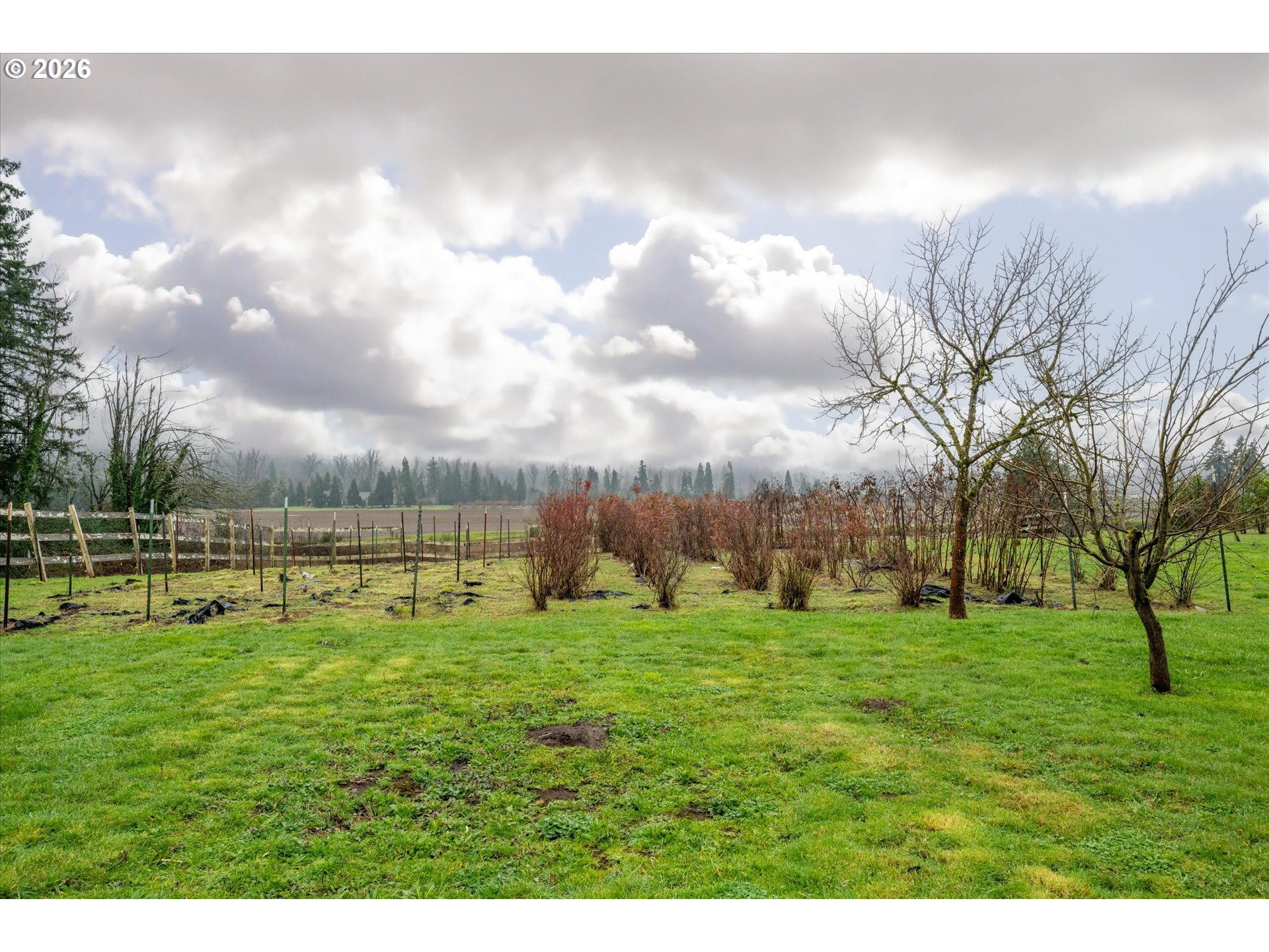 40064 McKenzie Highway Springfield, OR 97478 - Photo 34 of 47