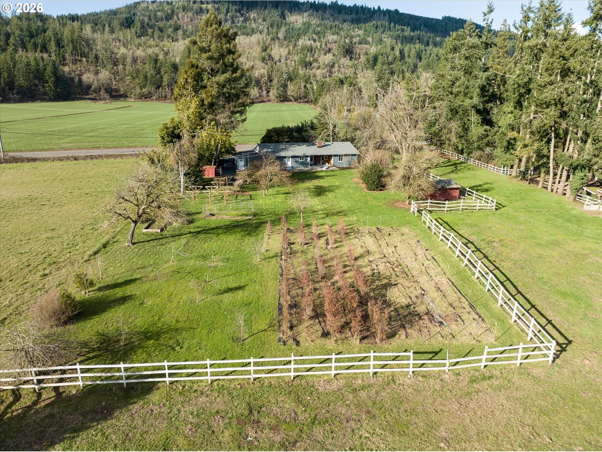 40064 McKenzie Highway Springfield, OR 97478 - Photo 39 of 47