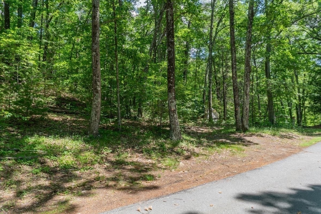0 Alder Road Groton, MA 01450 - Photo 10 of 16