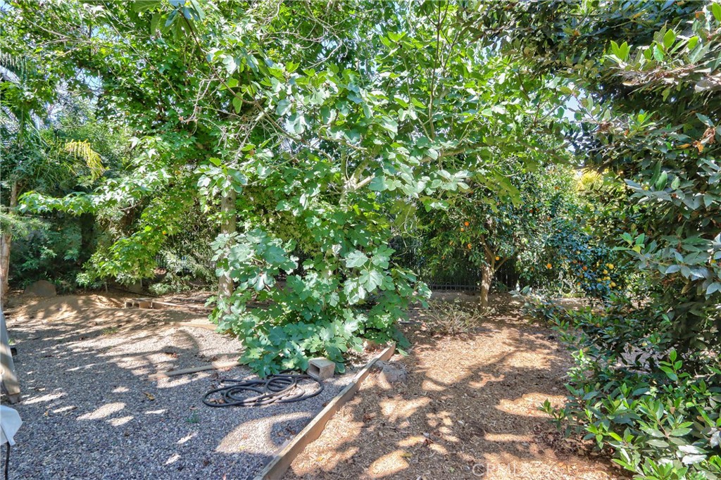 1549 McDonald Road Fallbrook, CA 92028 - Photo 38 of 62