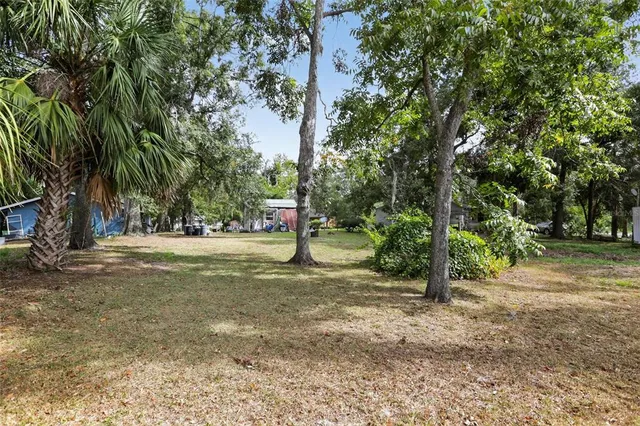 a view of a park that has a tree on the side of the road