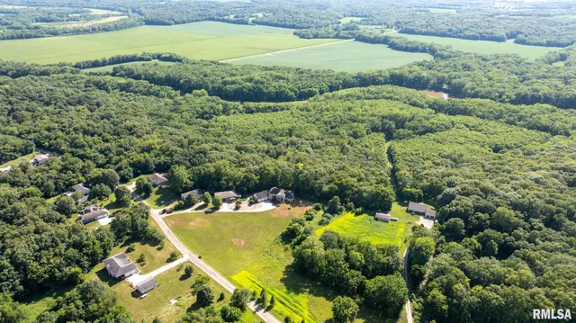 $1,108,500 | 13599 Woodland Drive, Athens, IL 62613