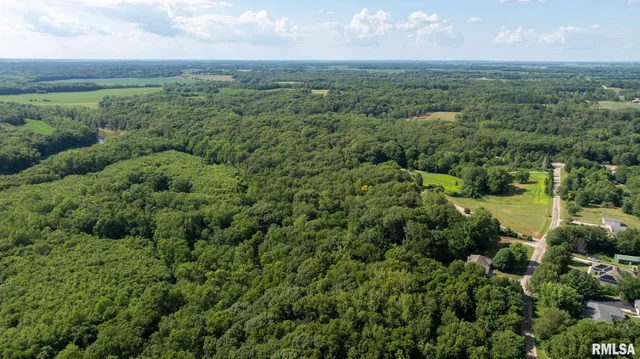 $1,108,500 | 13599 Woodland Drive, Athens, IL 62613