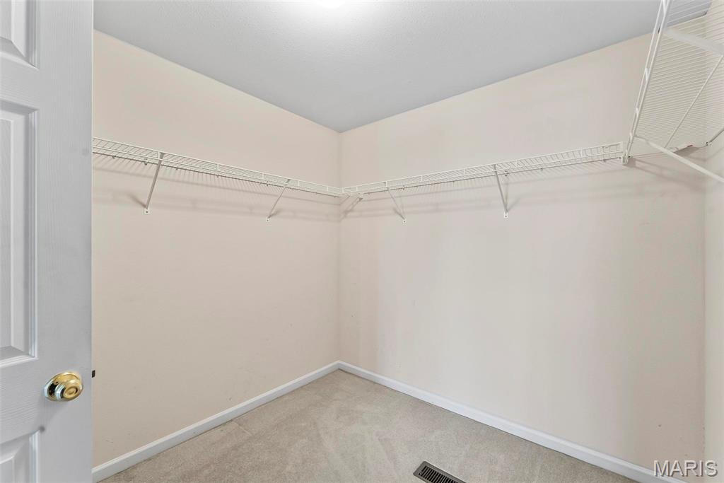 202 Sun Valley Drive Smithton, IL 62285 - Photo 48 of 67