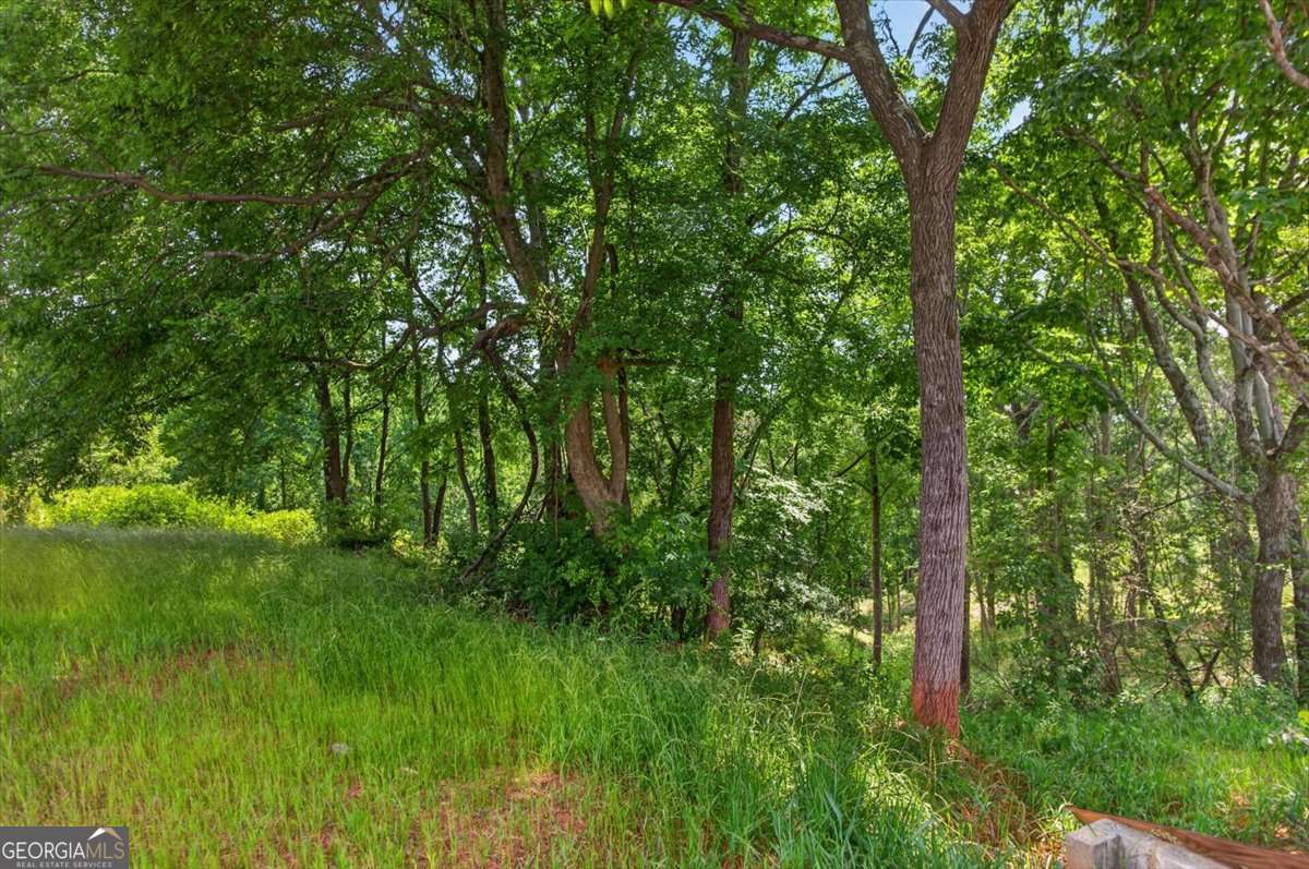 0 Conns Creek Road, Unit 2 Ball Ground, GA 30107 - Photo 18 of 57