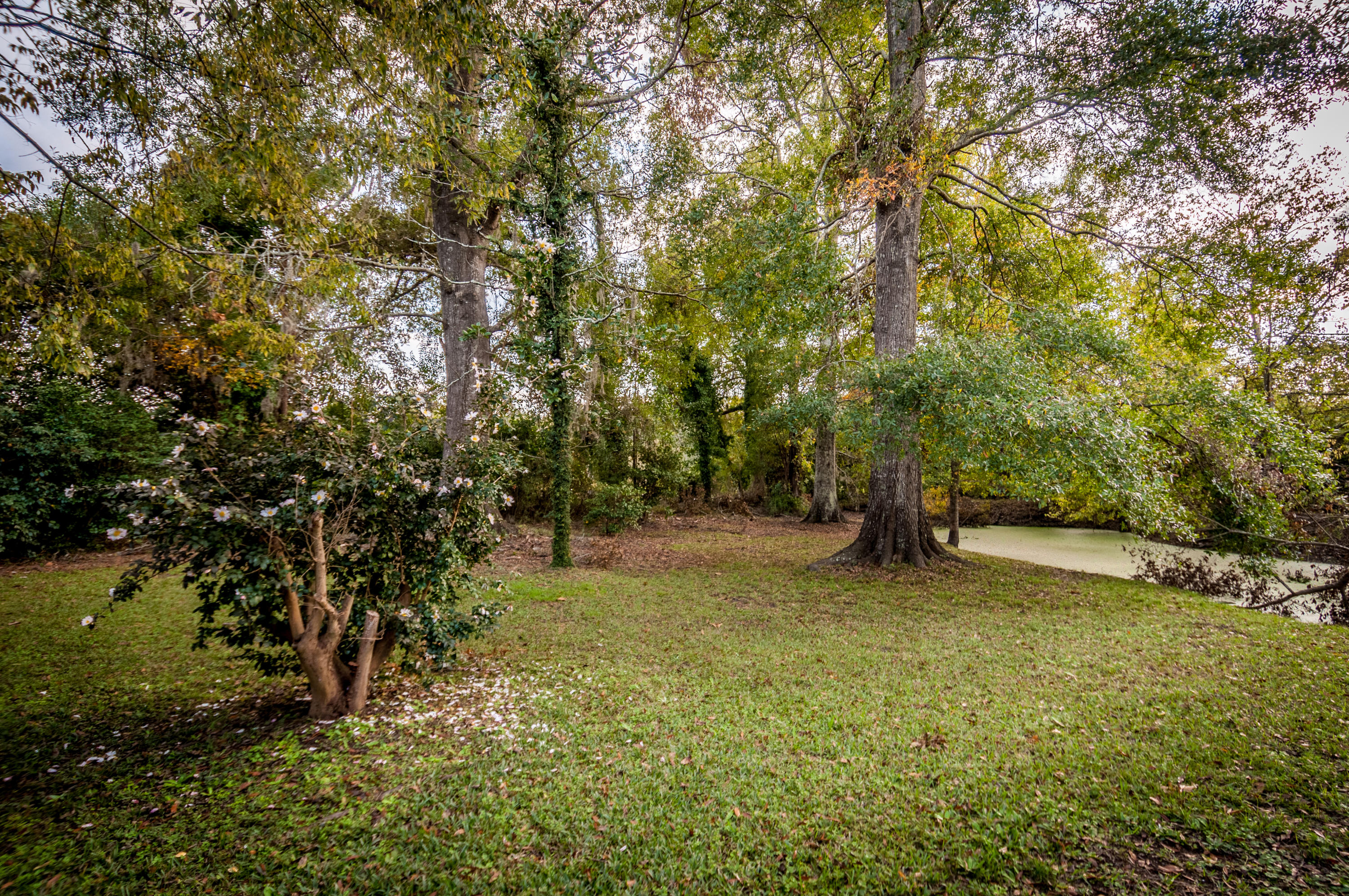 8429 Old State Road Holly Hill, SC 29059 - Photo 22 of 66 Area behind house
