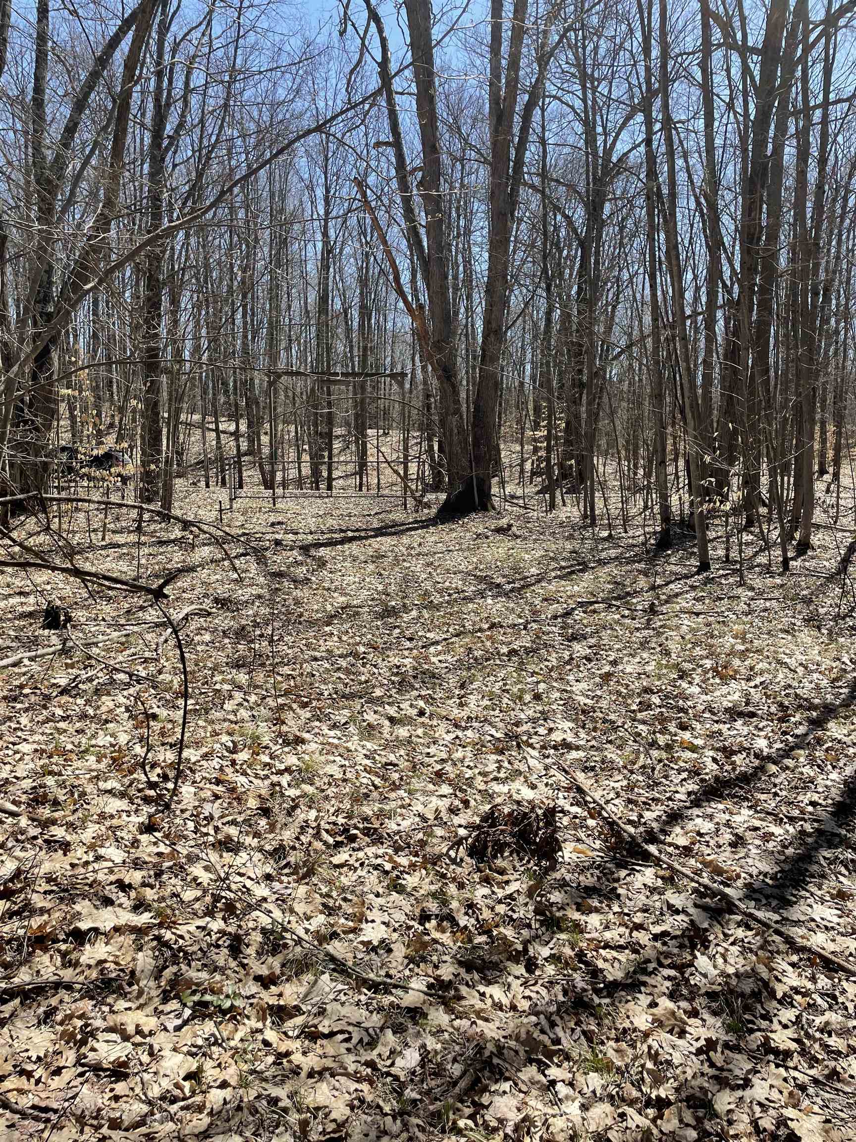 8895 East Grandview Trail Reed City, MI 49677 - Photo 14 of 18