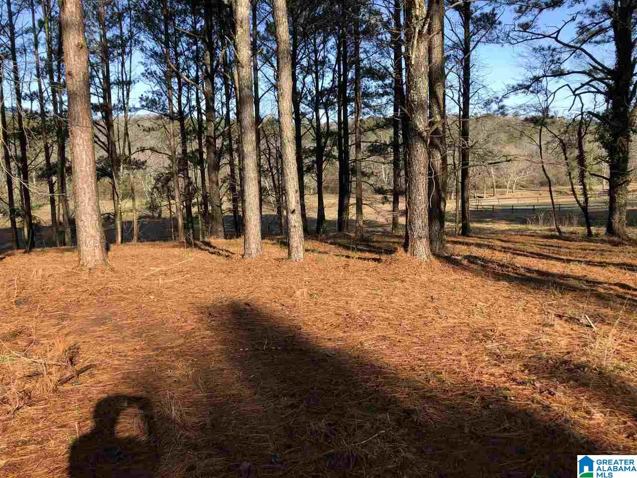 7950 Happy Hollow Road, Unit 2 Trussville, AL 35173 - Photo 7 of 12