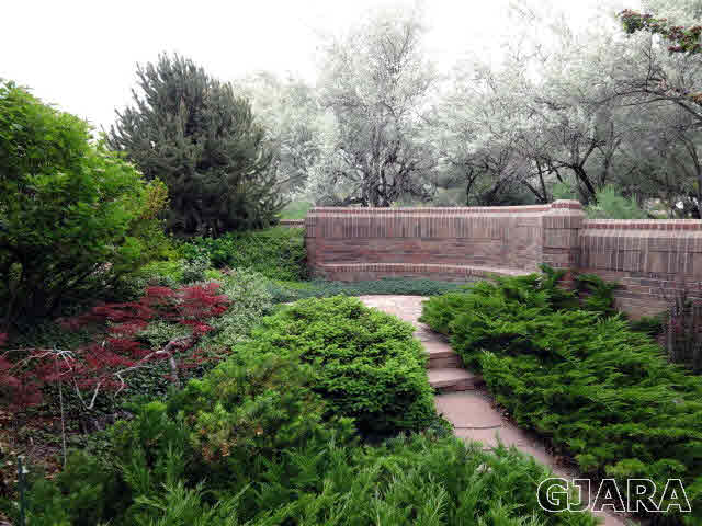 855 25 Road Grand Junction, CO 81505 - Photo 39 of 41 a view of a back yard