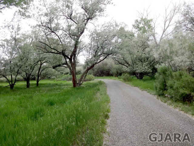 855 25 Road Grand Junction, CO 81505 - Photo 6 of 41 a view of a park with large trees