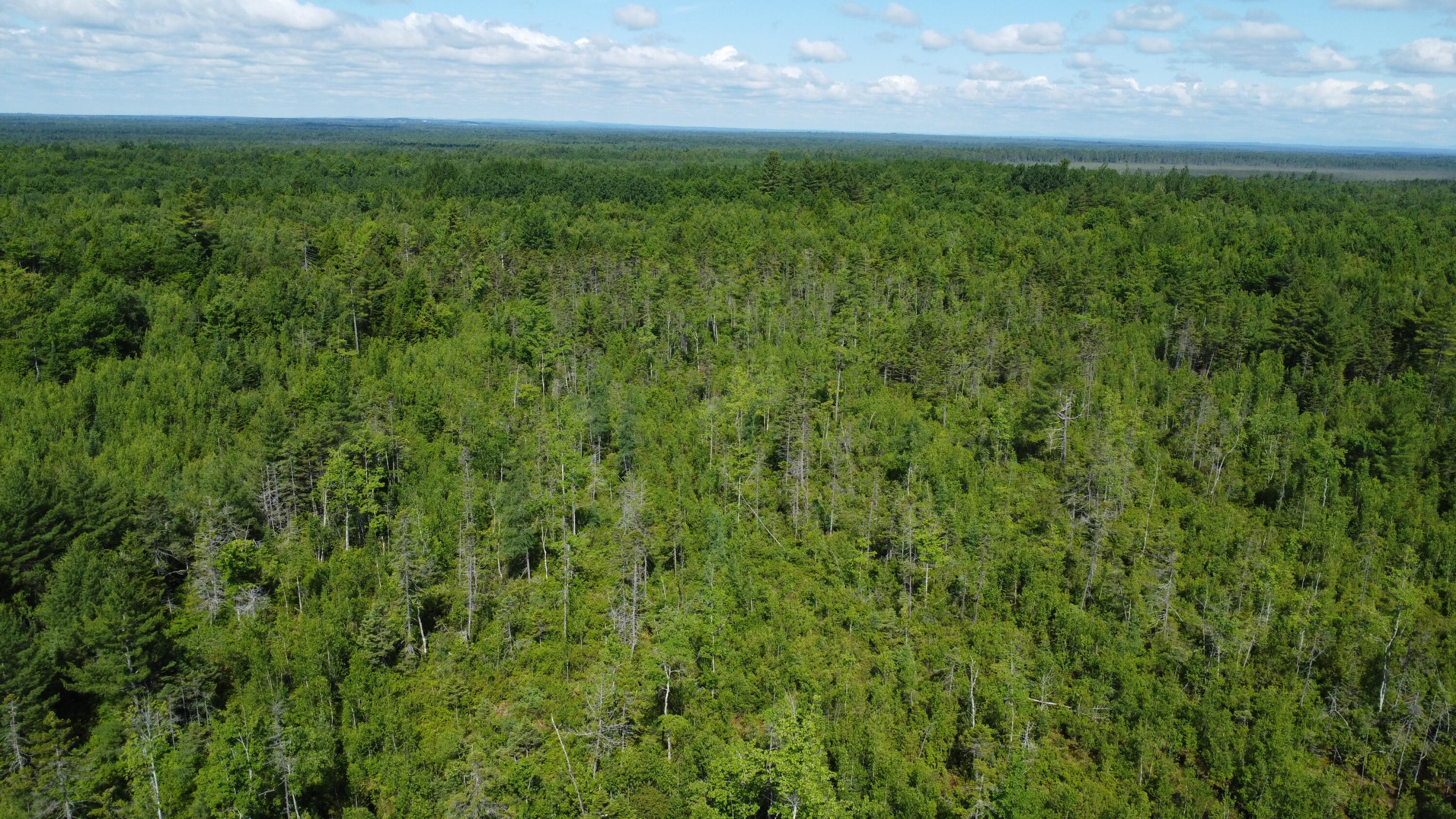 30-007 Cardville Road Greenbush, ME 04418 - Photo 5 of 19 DJI_0065