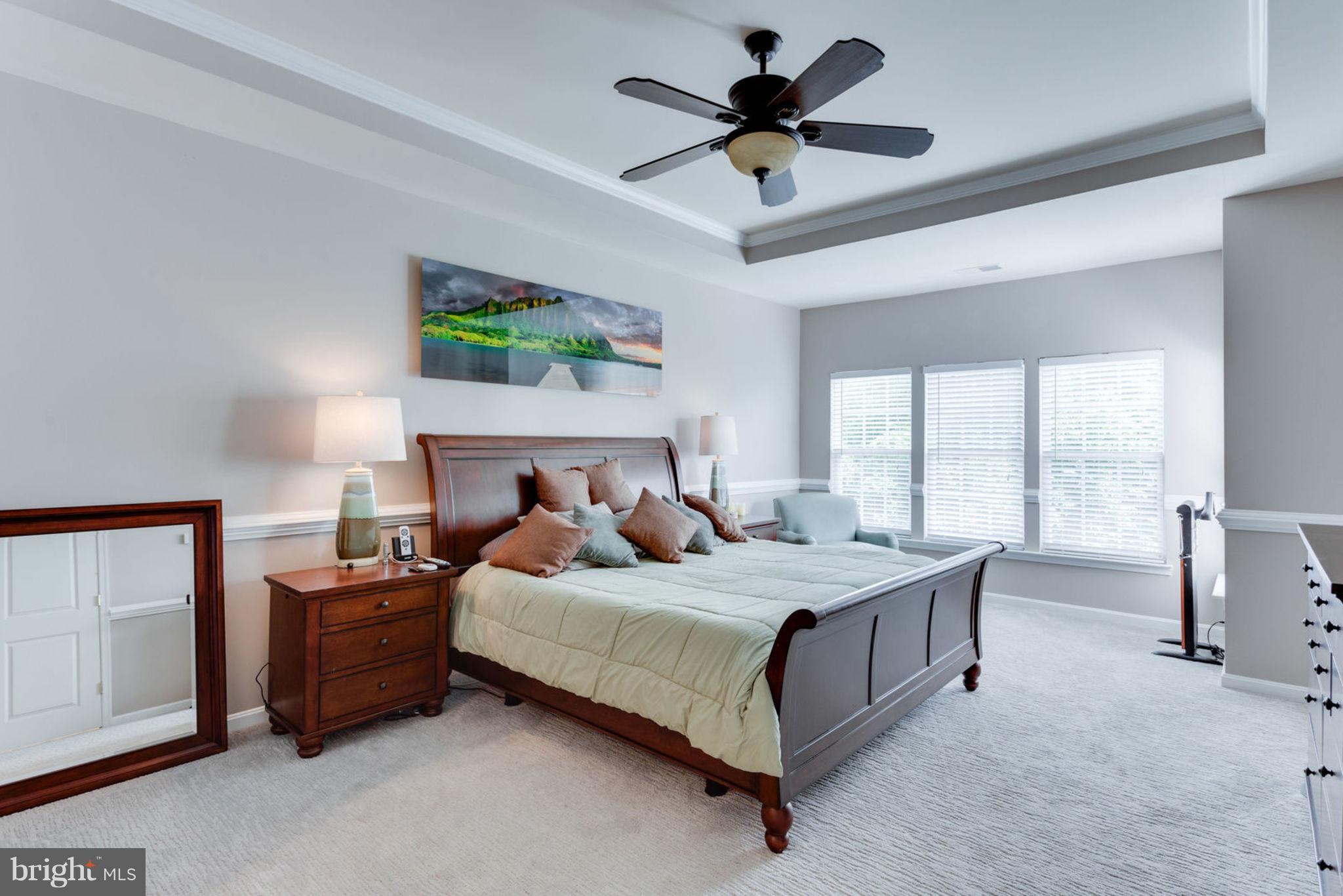9195 Ribbon Falls Loop Bristow, VA 20136 - Photo 14 of 30 Bedroom (Master)