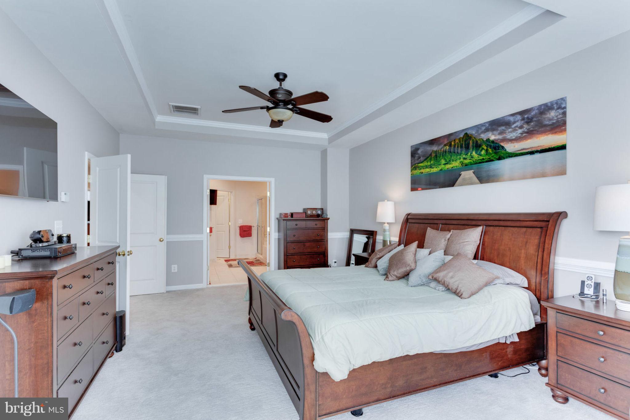9195 Ribbon Falls Loop Bristow, VA 20136 - Photo 15 of 30 Bedroom (Master)