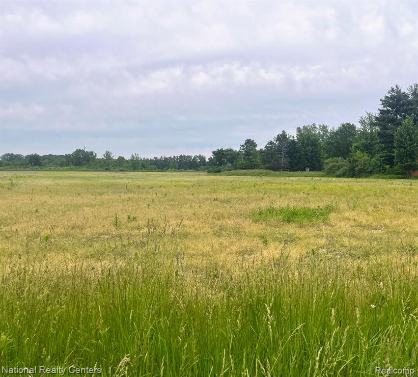Parcel H Sharrard Road Allenton, MI 48002 - Photo 2 of 3