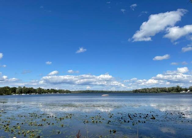 52199 Nancy Lane Three Rivers, MI 49093 - Photo 26 of 28 nancy6