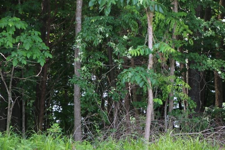 26-27 Cherokee Road Lucas, KY 42156 - Photo 27 of 46 Gallery Image 27