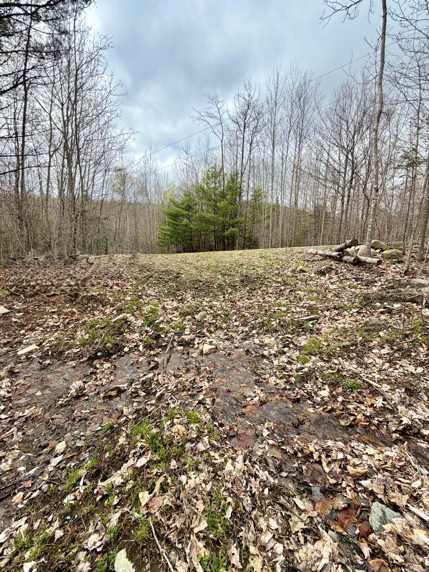 Lot 2 Mooseley Ridge Road Phillips, ME 04966 - Photo 14 of 24