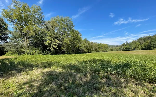a view of a green field with wooden fence