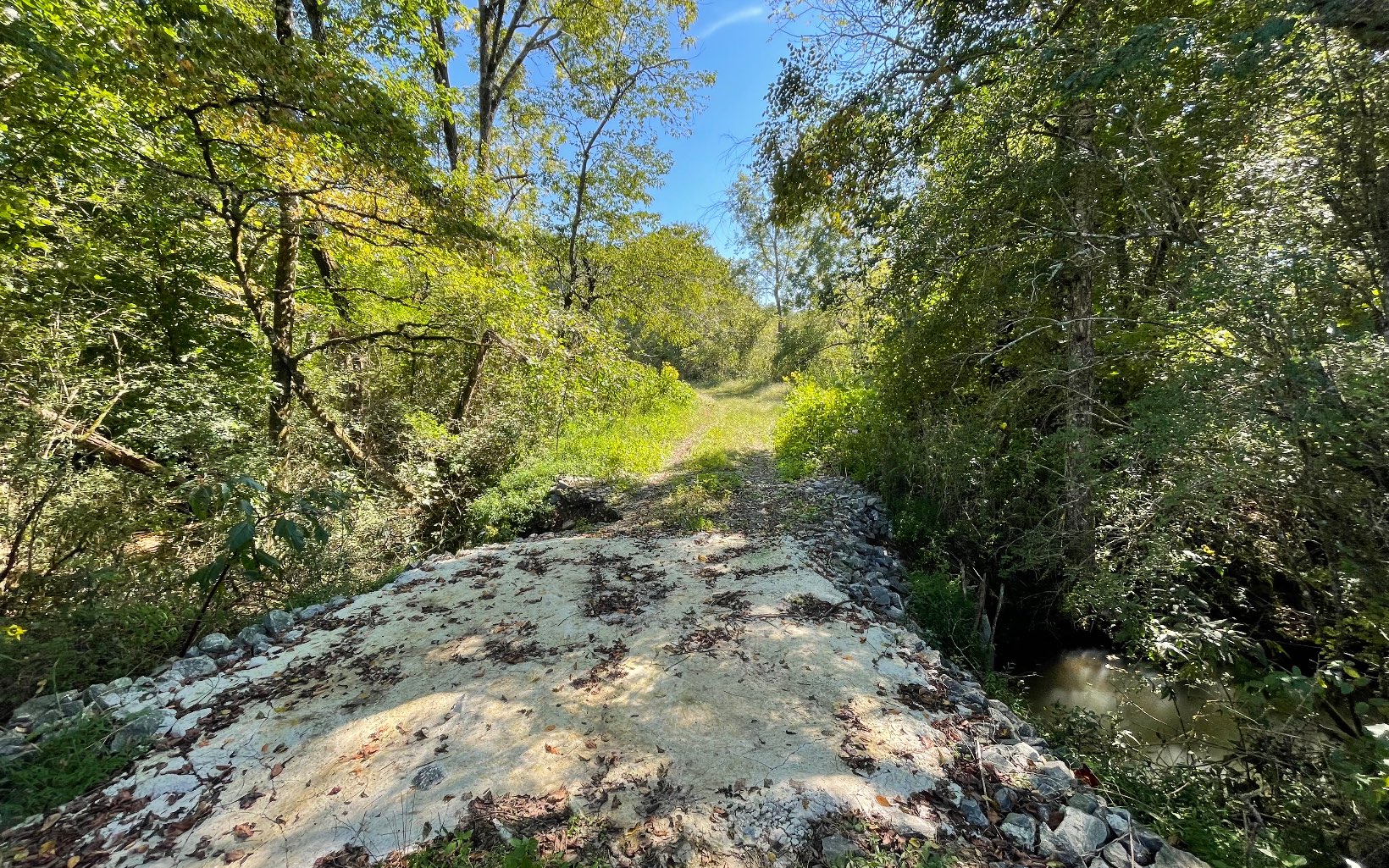 37-ac Jarrett Road Hayesville, NC 28904 - Photo 12 of 61 Additional View