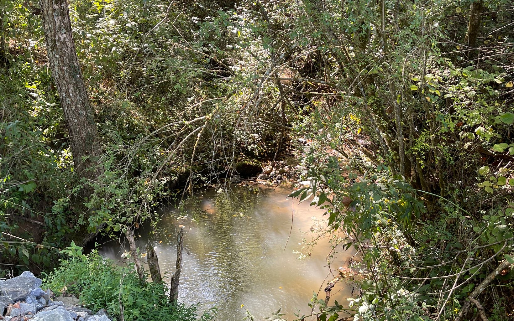 37-ac Jarrett Road Hayesville, NC 28904 - Photo 13 of 61 Additional View