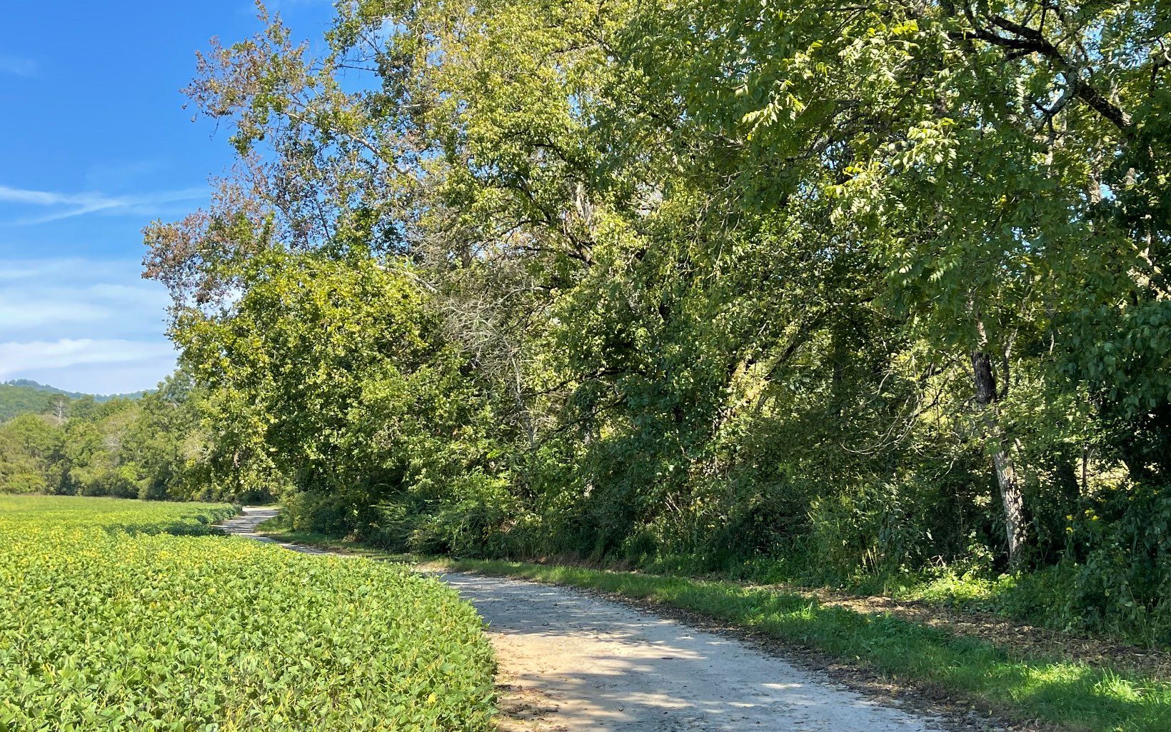37-ac Jarrett Road Hayesville, NC 28904 - Photo 14 of 61 Additional View