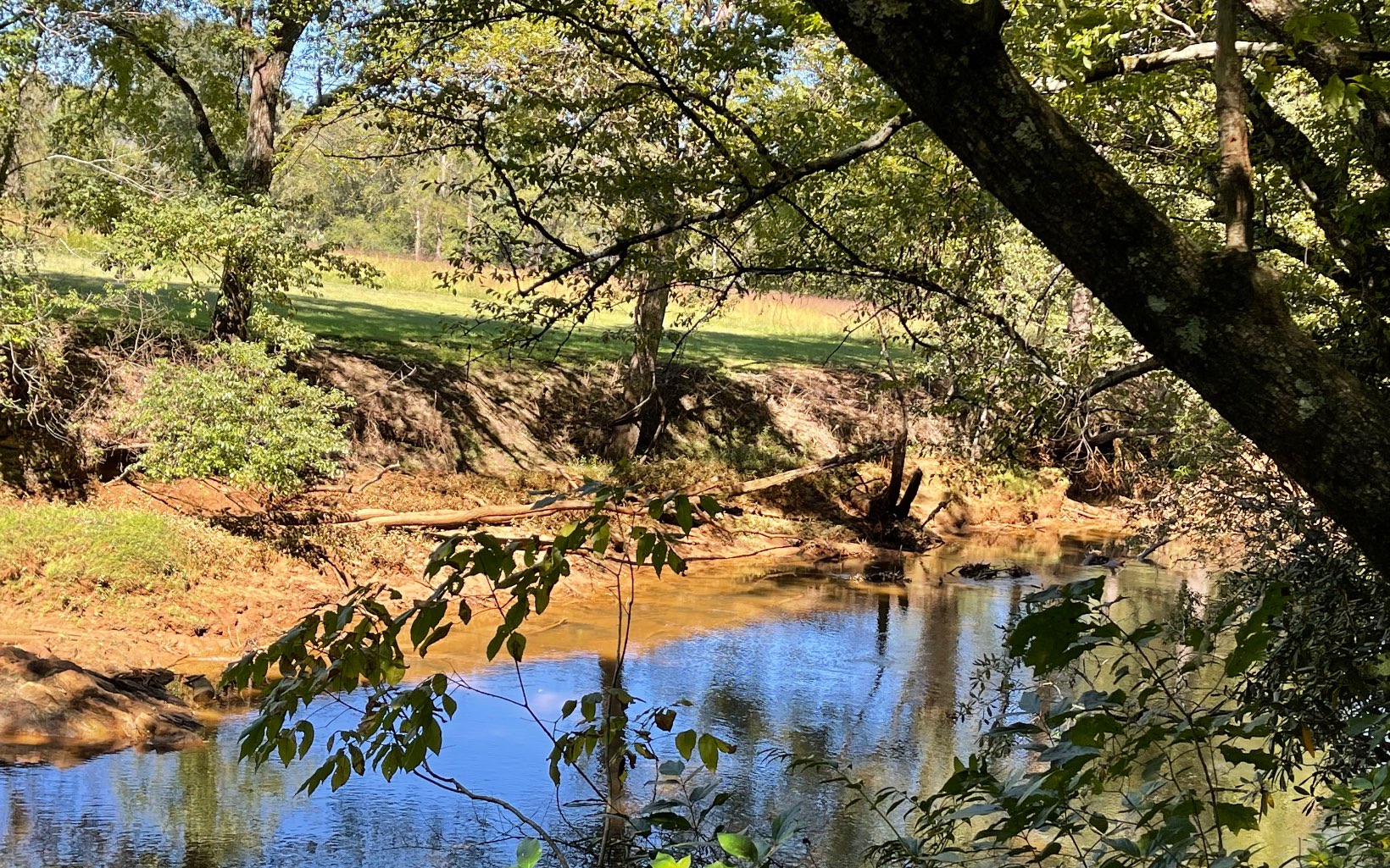 37-ac Jarrett Road Hayesville, NC 28904 - Photo 16 of 61 Additional View