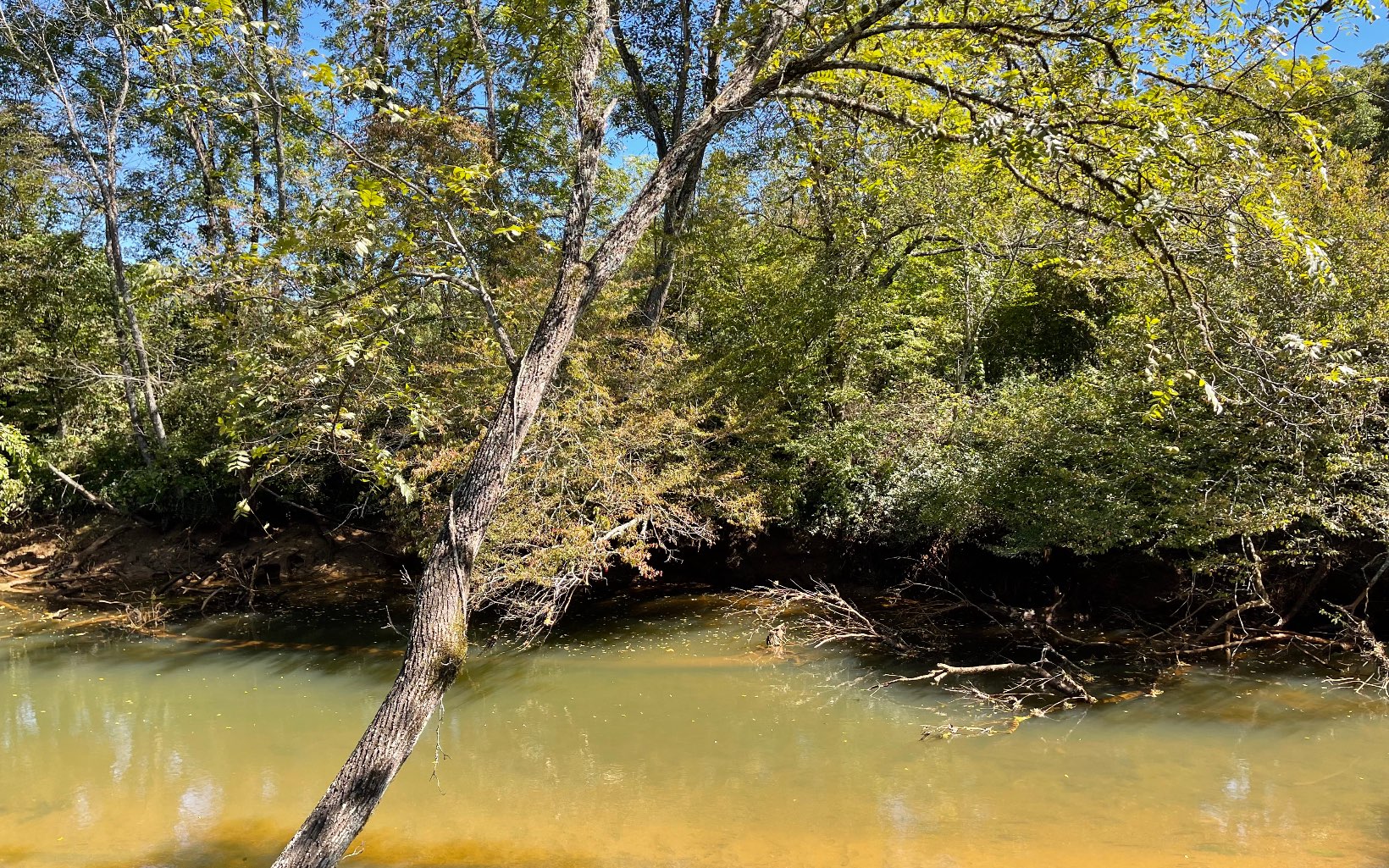37-ac Jarrett Road Hayesville, NC 28904 - Photo 17 of 61 Additional View