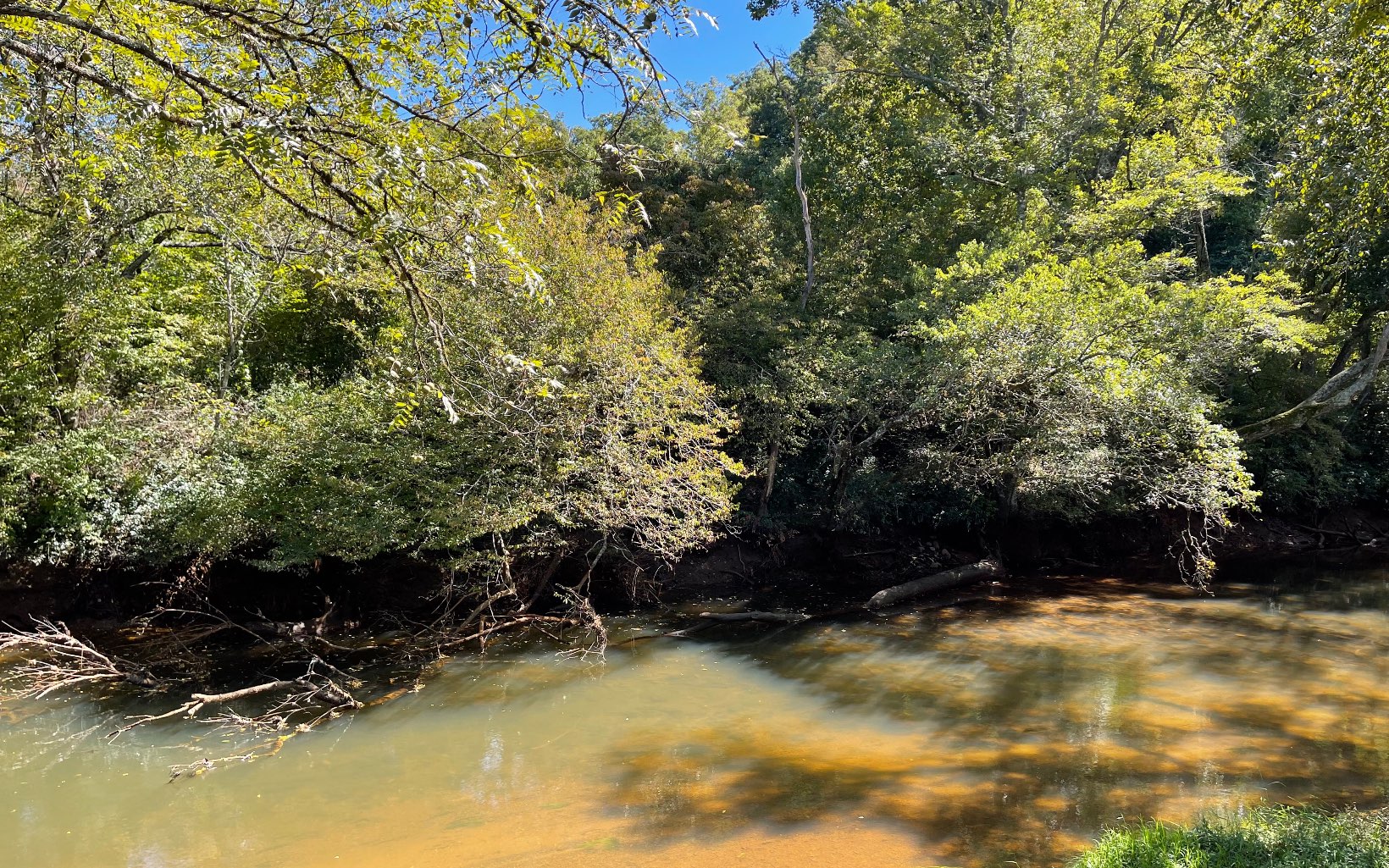 37-ac Jarrett Road Hayesville, NC 28904 - Photo 18 of 61 Additional View
