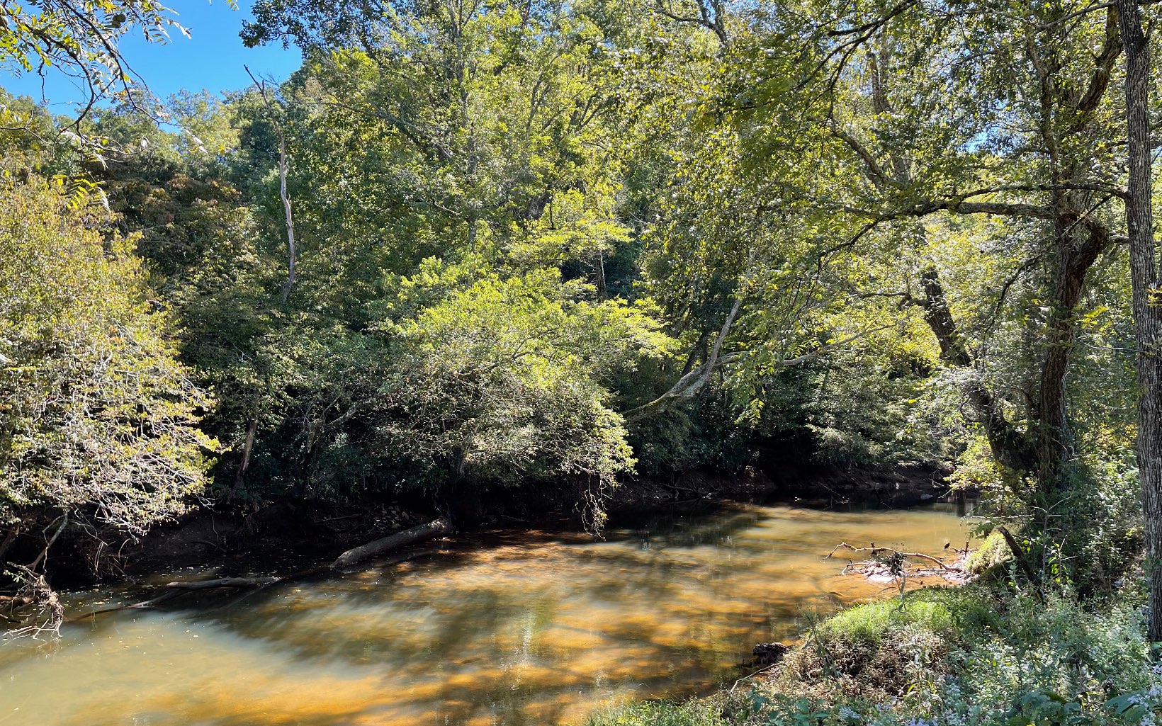 37-ac Jarrett Road Hayesville, NC 28904 - Photo 19 of 61 Additional View