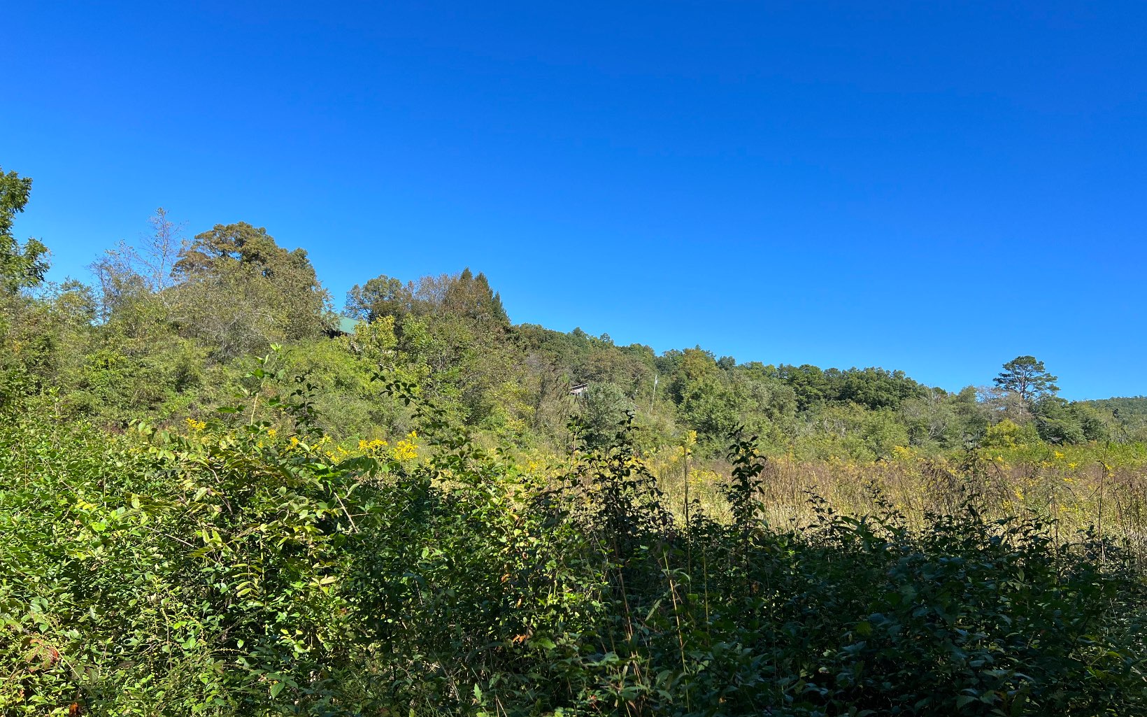 37-ac Jarrett Road Hayesville, NC 28904 - Photo 20 of 61 Additional View