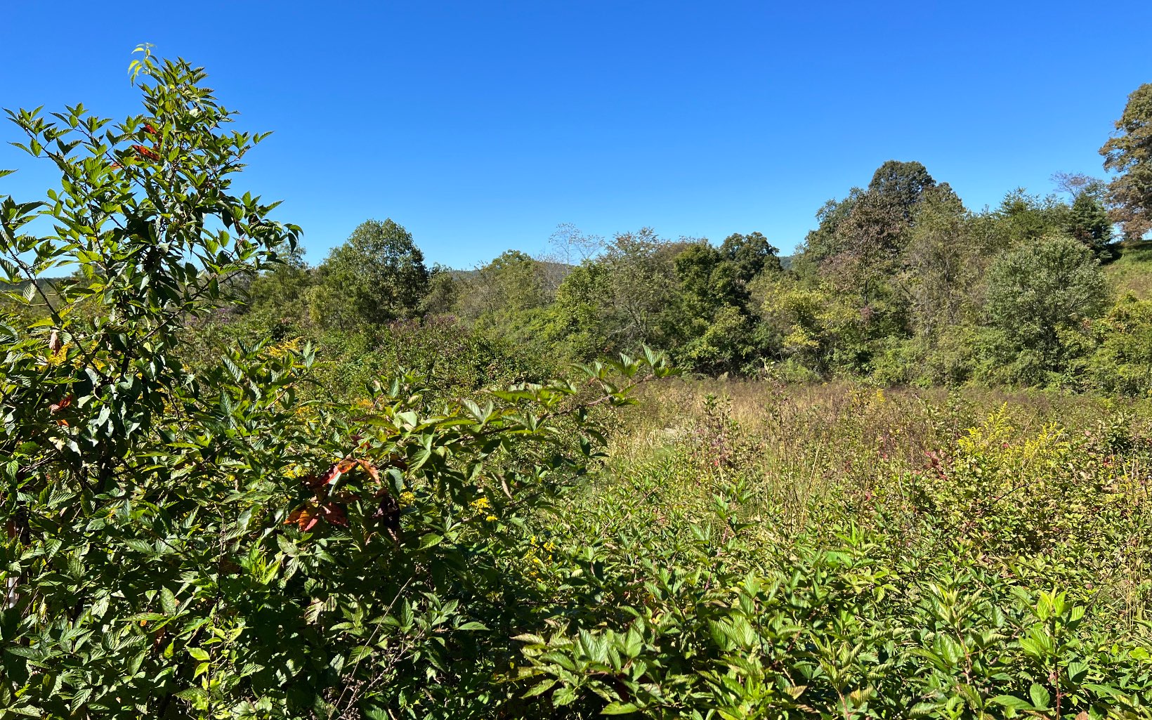 37-ac Jarrett Road Hayesville, NC 28904 - Photo 25 of 61 Additional View