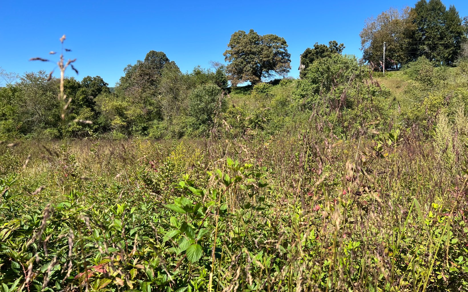 37-ac Jarrett Road Hayesville, NC 28904 - Photo 26 of 61 Additional View