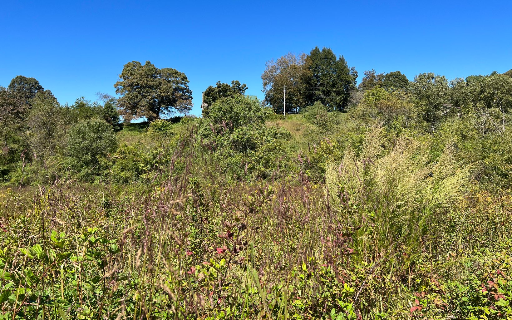 37-ac Jarrett Road Hayesville, NC 28904 - Photo 27 of 61 Additional View